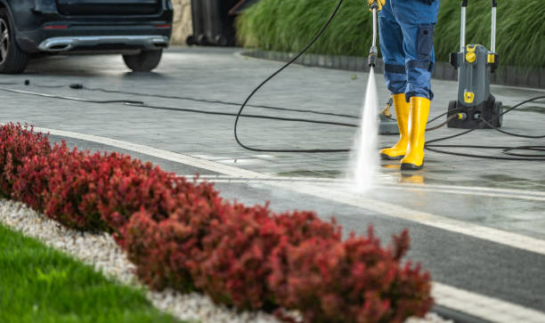 Best Roof Pressure Washing  in Rockville, MD